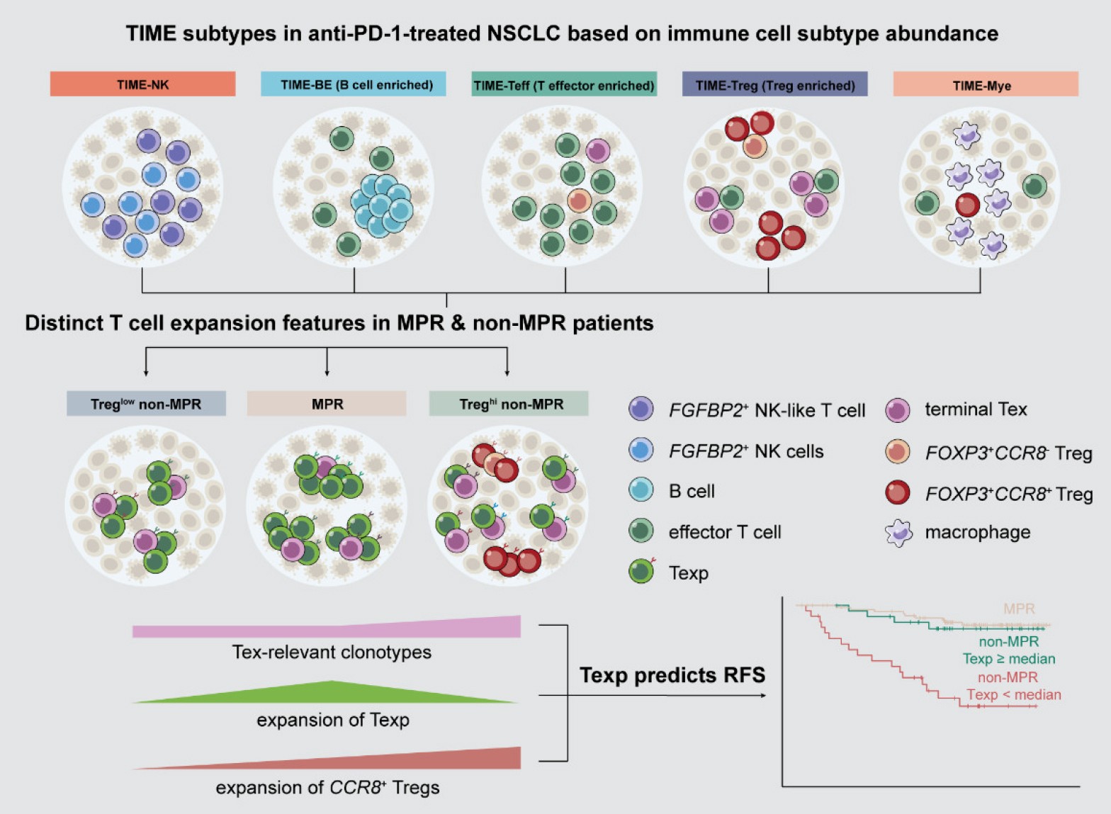 02 张泽民团队.jpg