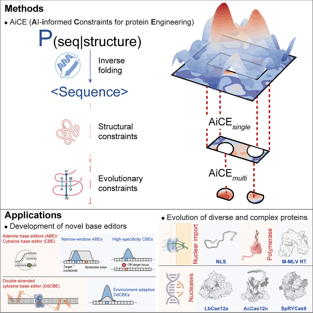 03 高彩霞团队.jpg