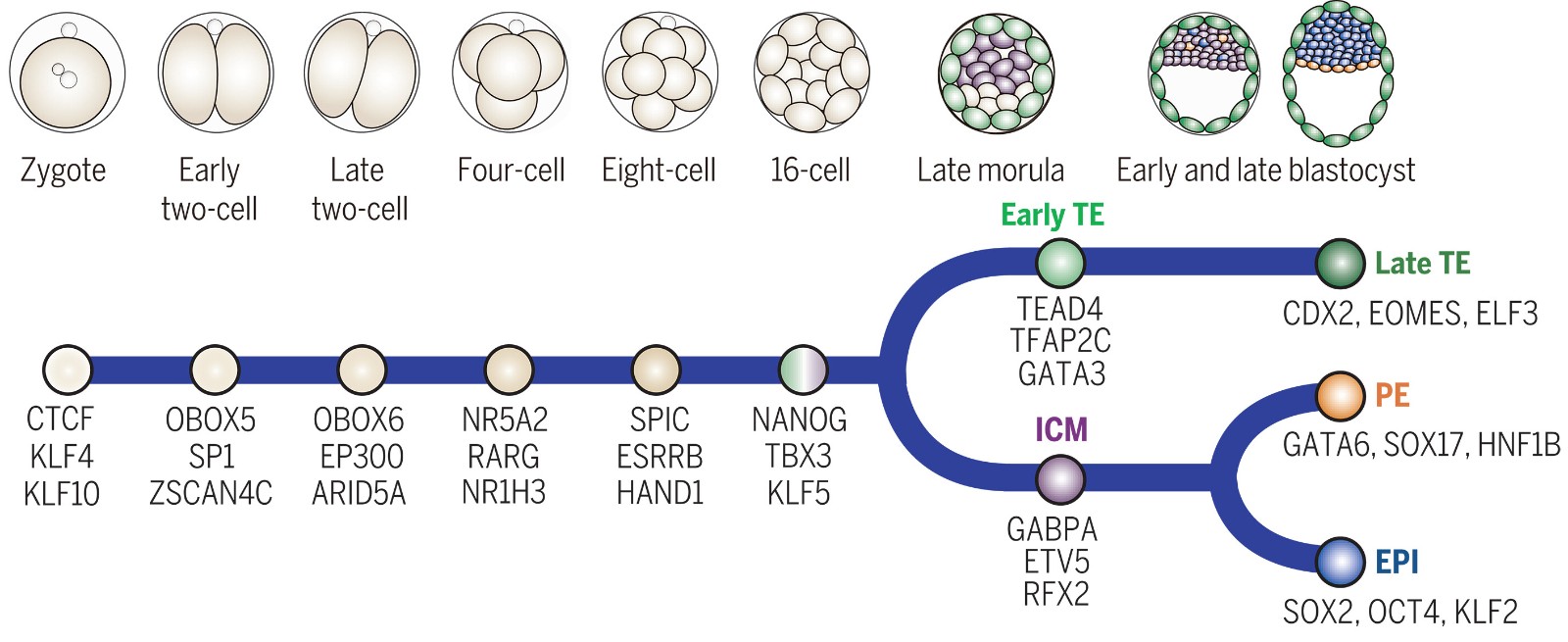 04 汤富酬团队.jpg
