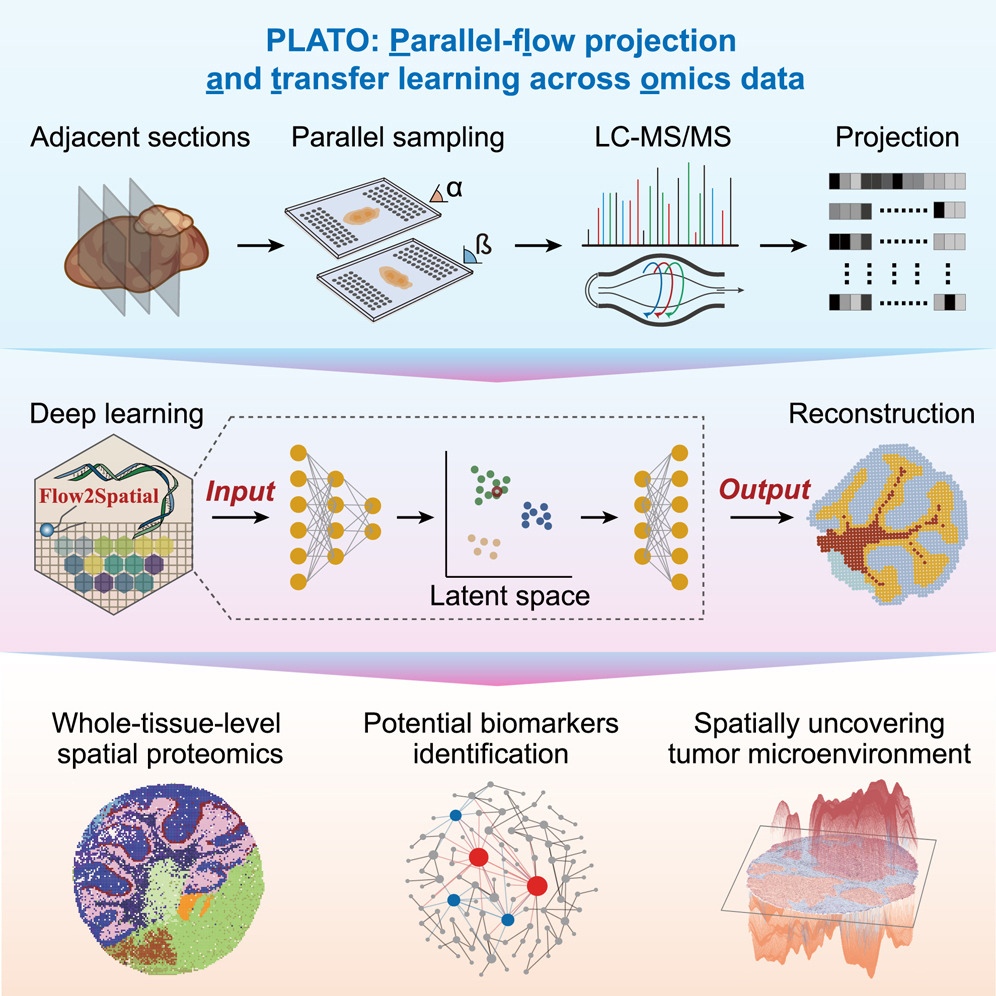 08 赵方庆、冀培丰团队.jpg